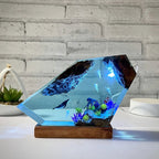 Resinlampa — Utforskning av Havsbotten